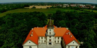 KAMERALNE SPOTKANIA Z MUZYKĄ W PARKU DZIKOWSKIM. PIERWSZE JUŻ W TĘ NIEDZIELĘ.