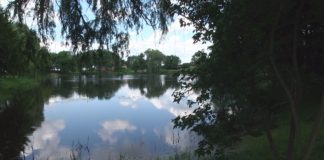 2020.06.30 – POSIADŁOŚĆ DOLAŃSKICH PIĘKNIEJE