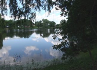 2020.06.30 – POSIADŁOŚĆ DOLAŃSKICH PIĘKNIEJE