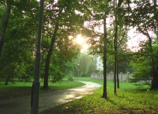 2020.07.08 – PLAGA W CZASACH ZARAZY