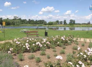 2020.07.15 – GMINA GORZYCE ZAPRASZA NA LETNI WYPOCZYNEK