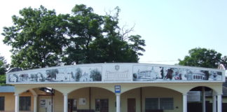 2020.08.07 – NOWE KURSY AUTOBUSOWE W POWIECIE