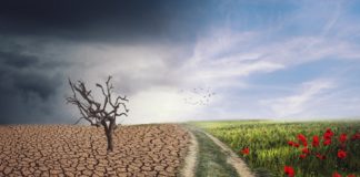 2020.08.10 – KONSULTACJE SPOŁECZNE MIEJSKIEGO PLANU ADAPTACJI DO ZMIAN KLIMATU DLA TARNOBRZEGA