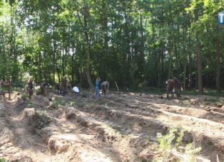 2020.09.18 – IM GŁĘBIEJ W MIASTO TYM WIĘCEJ DRZEW