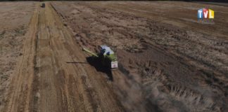 2020.09.24 – POWSZECHNY SPIS ROLNY 2020