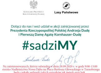 2020.09.17 – #sadziMY w Tarnobrzegu!