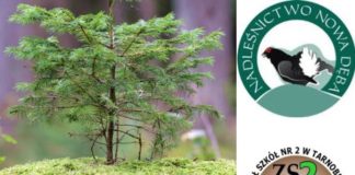 2020.10.23 – TARNOBRZESKI “ROLNIK” WSPÓŁPRACUJE Z NADLEŚNICTWEM