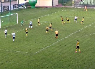 SIARKA LEPSZA OD AVII