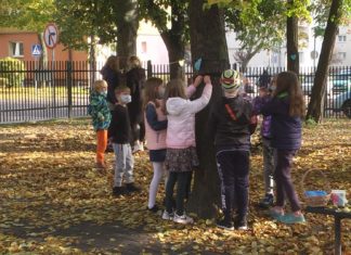 2020.10.29 – DRZEWA JUŻ UBRANE!