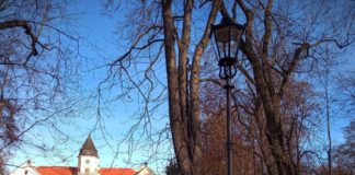 2020.11.22 – PARK DZIKOWSKI W TARNOBRZEGU Z NOWYM OŚWIETLENIEM