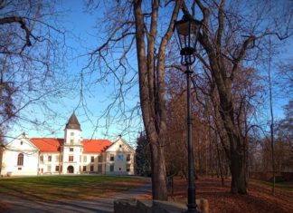 2020.11.22 – PARK DZIKOWSKI W TARNOBRZEGU Z NOWYM OŚWIETLENIEM