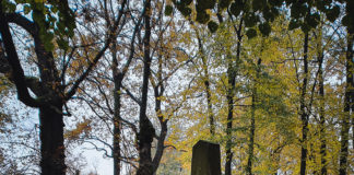 2020.11.02 – DZIŚ ZADUSZKI