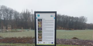 2020.11.26 – ŚCIEŻKA EDUKACYJNA NA TERENACH ZIELONYCH NAD WISŁĄ