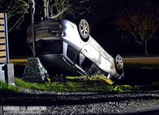 2020.11.08 – DACHOWANIE W SIEDLESZCZANACH