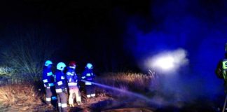 2020.11.25 – POŻAR LASU W STALACH