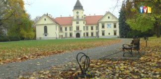 2020.11.04 – WIDNIEJ, BEZPIECZNIEJ I ESTETYCZNIEJ