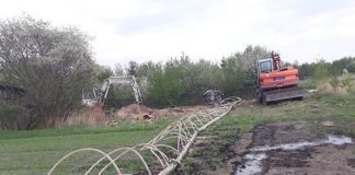 2020.11.27 – W SIECI