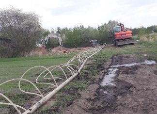 2020.11.27 – W SIECI