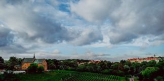 2020.11.16 – ŚWIĘTO MŁODEGO WINA W ŚWIECIE WIRTUALNYM