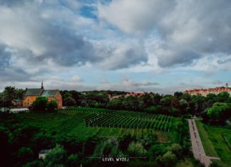 2020.11.16 – ŚWIĘTO MŁODEGO WINA W ŚWIECIE WIRTUALNYM