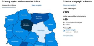 2020.12.01– SYTUACJA EPIDEMIOLOGICZNA – STAN NA 1 GRUDNIA