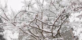 2021.01.25 – TARNOBRZEG W BIELI