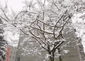 2021.01.25 – TARNOBRZEG W BIELI