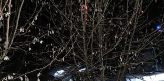 2021.01.08 – AUTO WPADŁO NA POSESJĘ