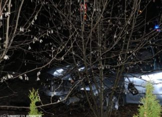 2021.01.08 – AUTO WPADŁO NA POSESJĘ