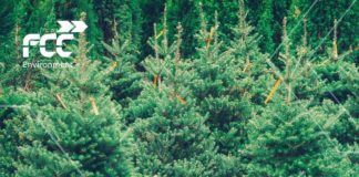 2021.01.08 – DRUGIE ŻYCIE CHOINKI