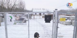 2021.01.21 – CO NOWEGO U MACHOWIAKÓW?