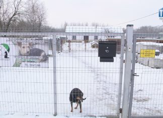 2021.01.21 – CO NOWEGO U MACHOWIAKÓW?