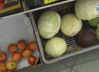 2021.01.22 – JADŁODZIELNIA W TARNOBRZEGU?