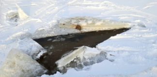 2021.01.26 – NIE WCHODŹ NA LÓD! TO NIEBEZPIECZNE!