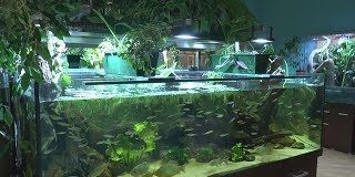 2021.01.14 – CENTRUM NATURA 2000 ZAPRASZA DO UDZIAŁU W KONKURSIE