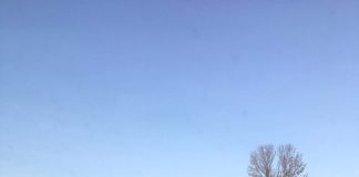 2021.01.22 – BĘDZIE NOWA LINIA AUTOBUSOWA W GMINIE BARANÓW SANDOMIERSKI