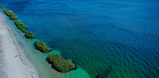 DE MONO ZAGRA NAD JEZIOREM TARNOBRZESKIM! KIEDY?