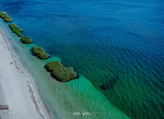 LINIĄ NUMER 6 NAD JEZIORO TARNOBRZESKIE