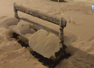 2021.02.16 – NIE PRZECHODŹ OBOJĘTNIE, REAGUJ!