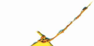 2021.02.25 – WIELKANOCNY KONKURS PLASTYCZNY