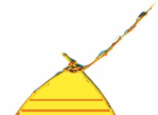 2021.02.25 – WIELKANOCNY KONKURS PLASTYCZNY