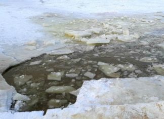 2021.02.01 – POD KIEROWCĄ SKUTERA ŚNIEŻNEGO ZAŁAMAŁ SIĘ LÓD