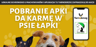 2021.03.01 – POBRANIE APKI DA KARMĘ W PSIE ŁAPKI