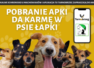 2021.03.01 – POBRANIE APKI DA KARMĘ W PSIE ŁAPKI