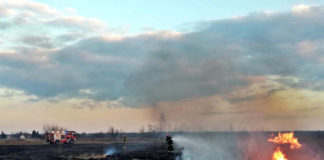 2021.03.25 – SIEDEM PRZYPADKÓW WYPALANIA TRAW W TARNOBRZEGU I OKOLICACH JEDNEGO DNIA!