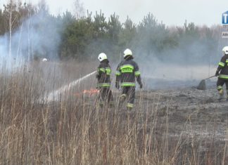 2021.03.17 – NIE CZAS ŻAŁOWAĆ RÓŻ, GDY PŁONĄ TRAWY