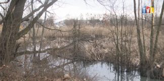 2021.03.25 – ROZLEGŁY PROBLEM ZAŻEGNANY?