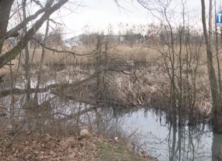 2021.03.25 – ROZLEGŁY PROBLEM ZAŻEGNANY?