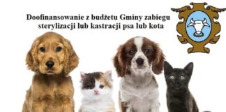 2021.04.15 – STERYLIZACJA LUB KASTRACJA PSÓW I KOTÓW. SKORZYSTAJ Z DOFINANSOWANIA