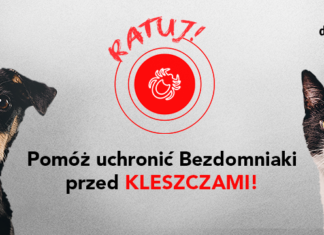 2021.04.14 – RATUJ BEZDOMNE ZWIERZAKI Z SANDOMIERZA PRZED GROŹNYMI KLESZCZAMI